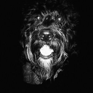 Meet your Posher, Lawrence